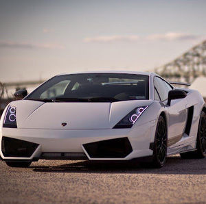 Meet your Posher, Philip